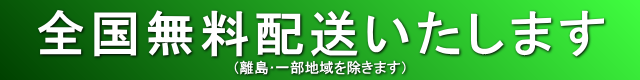�{���u���C�g�͑��������ł�